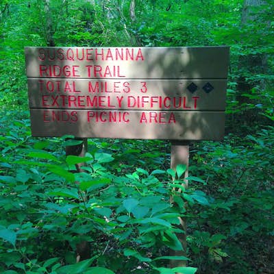 Hike the Susquehanna Ridge Trail at Susquehanna State Park