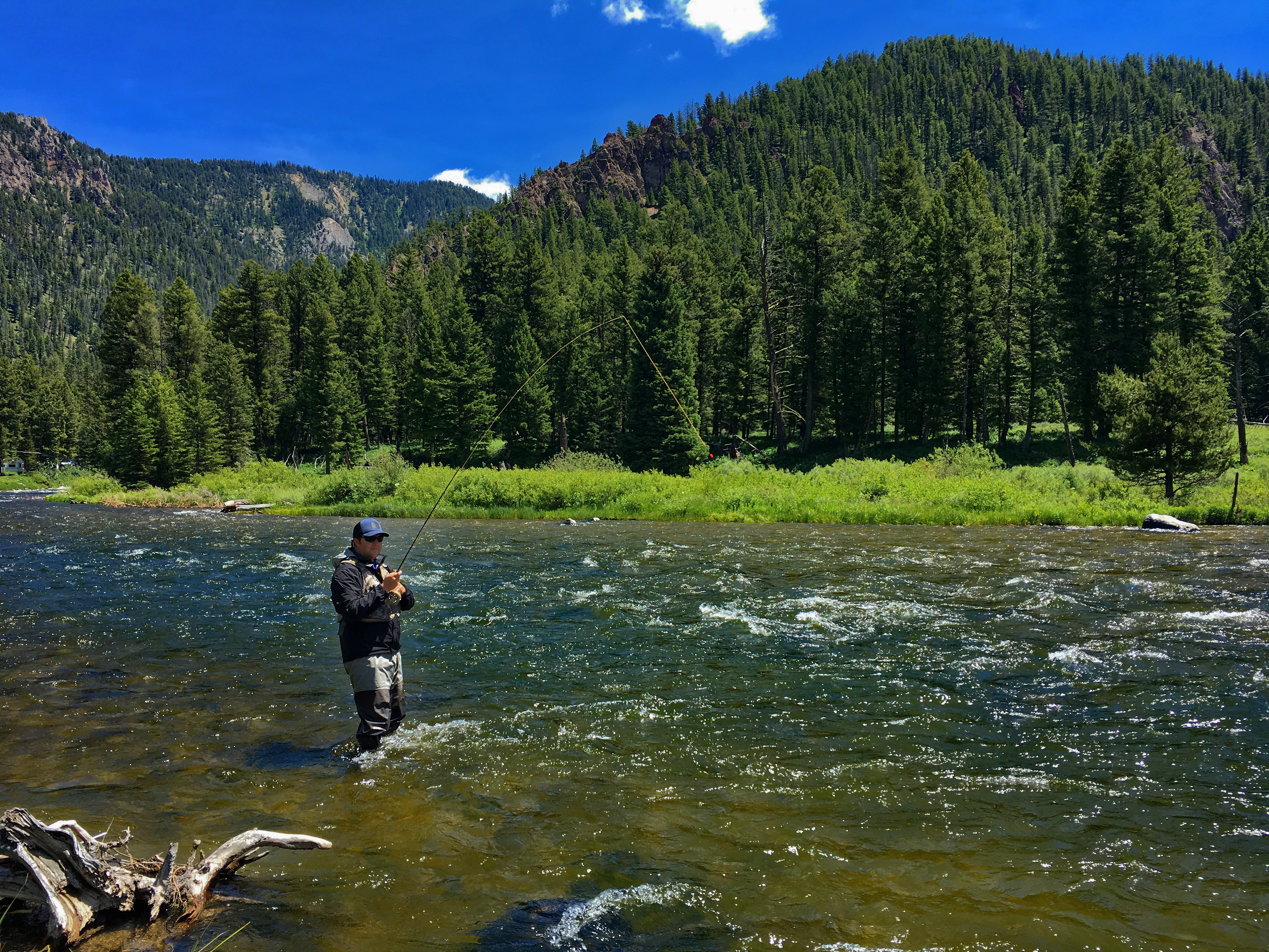 Fly Fish The Madison River (Hebgen Lake To Earthquake Lake), West ...