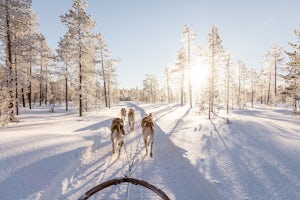 A Magical Husky Adventure above the Arctic Circle