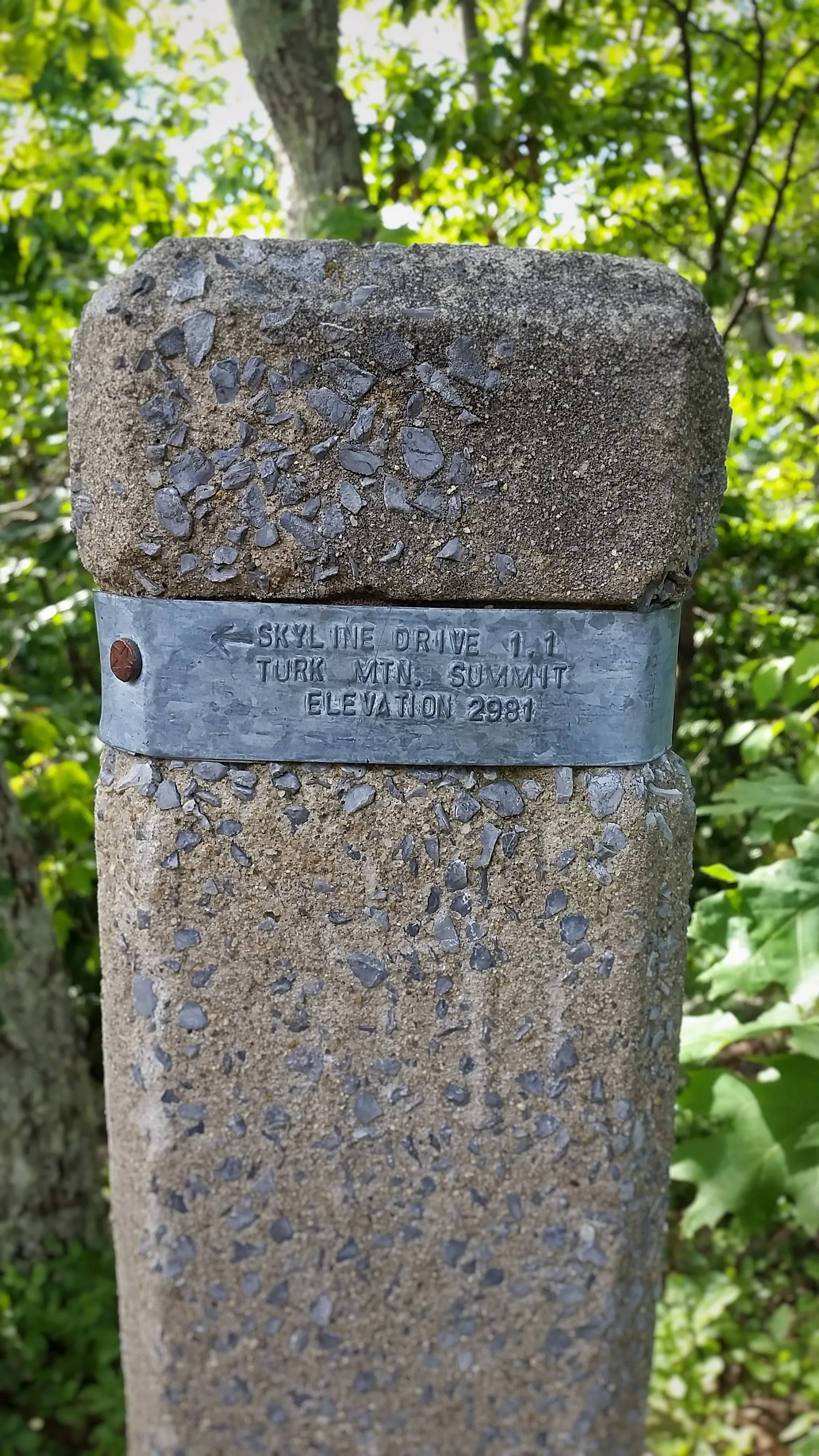 Hike Turk Mountain