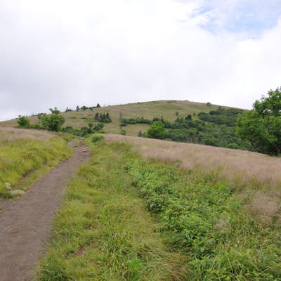 Hike the AT to Grassy Ridge