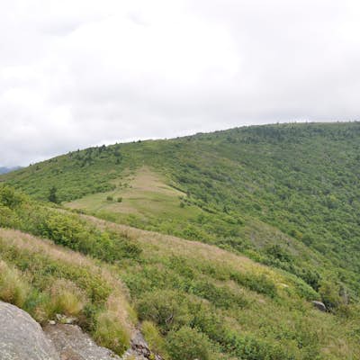 Hike the AT to Grassy Ridge