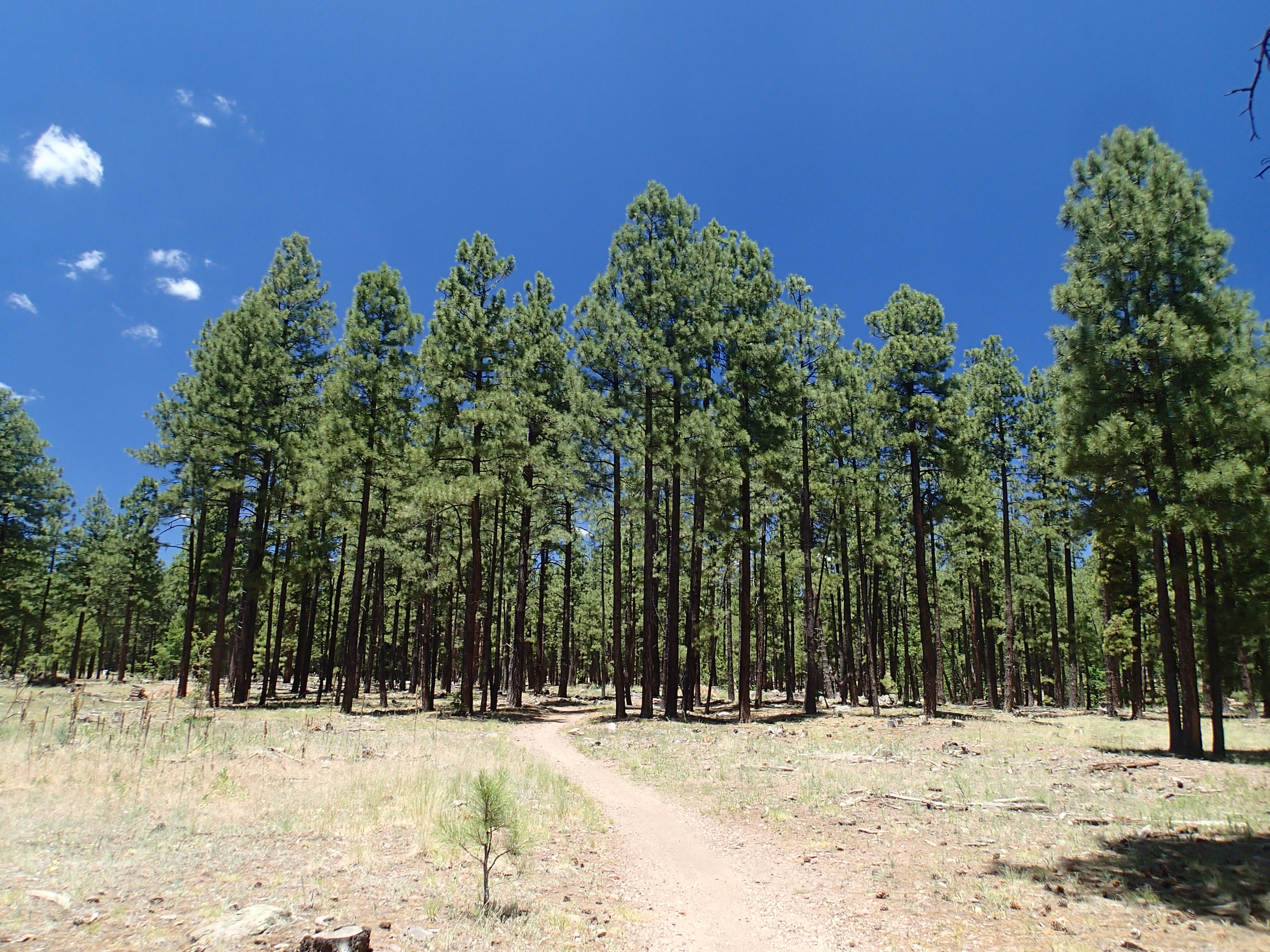 Hike the Soldier's Trail