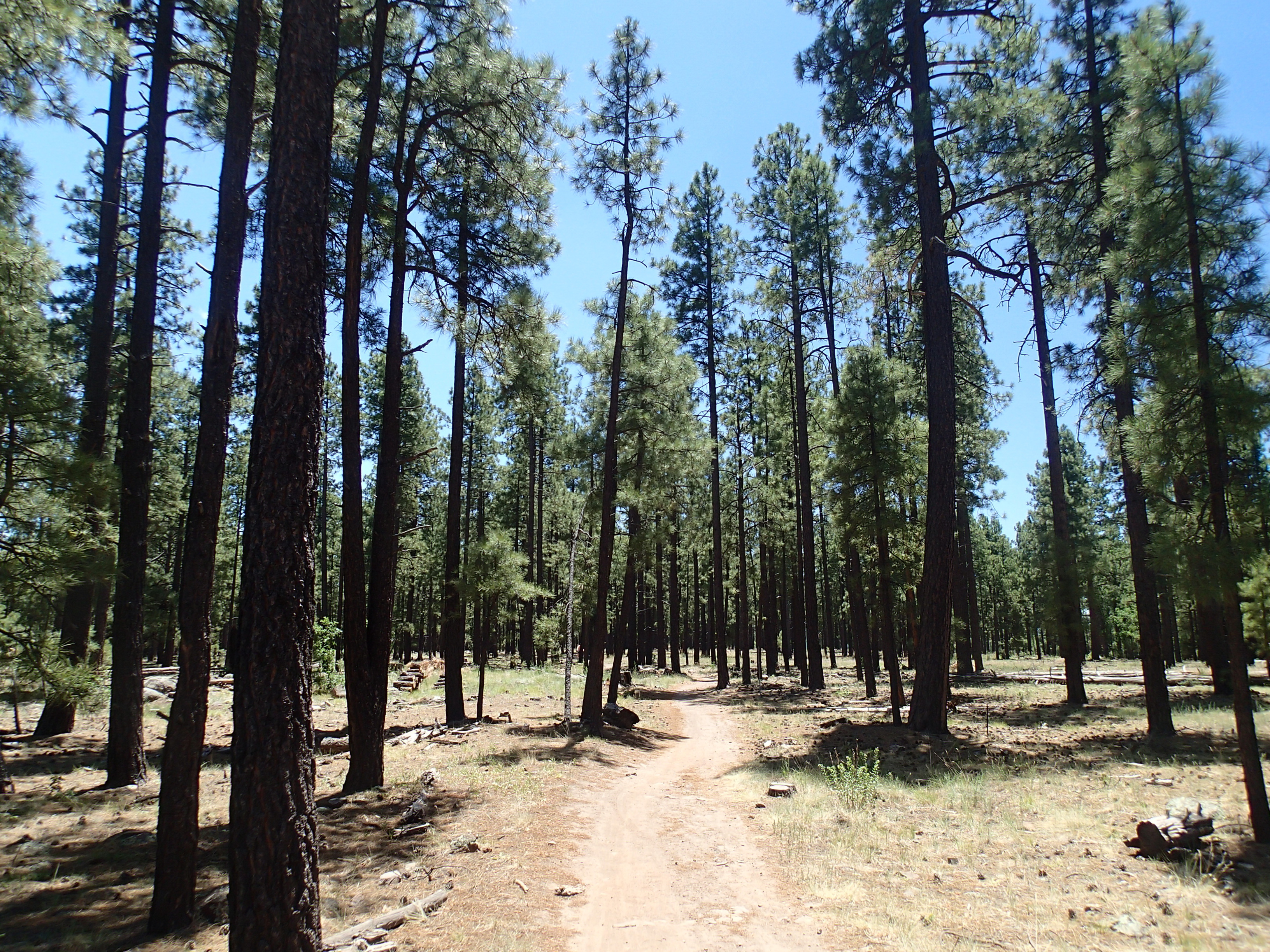 Hike the Soldier's Trail