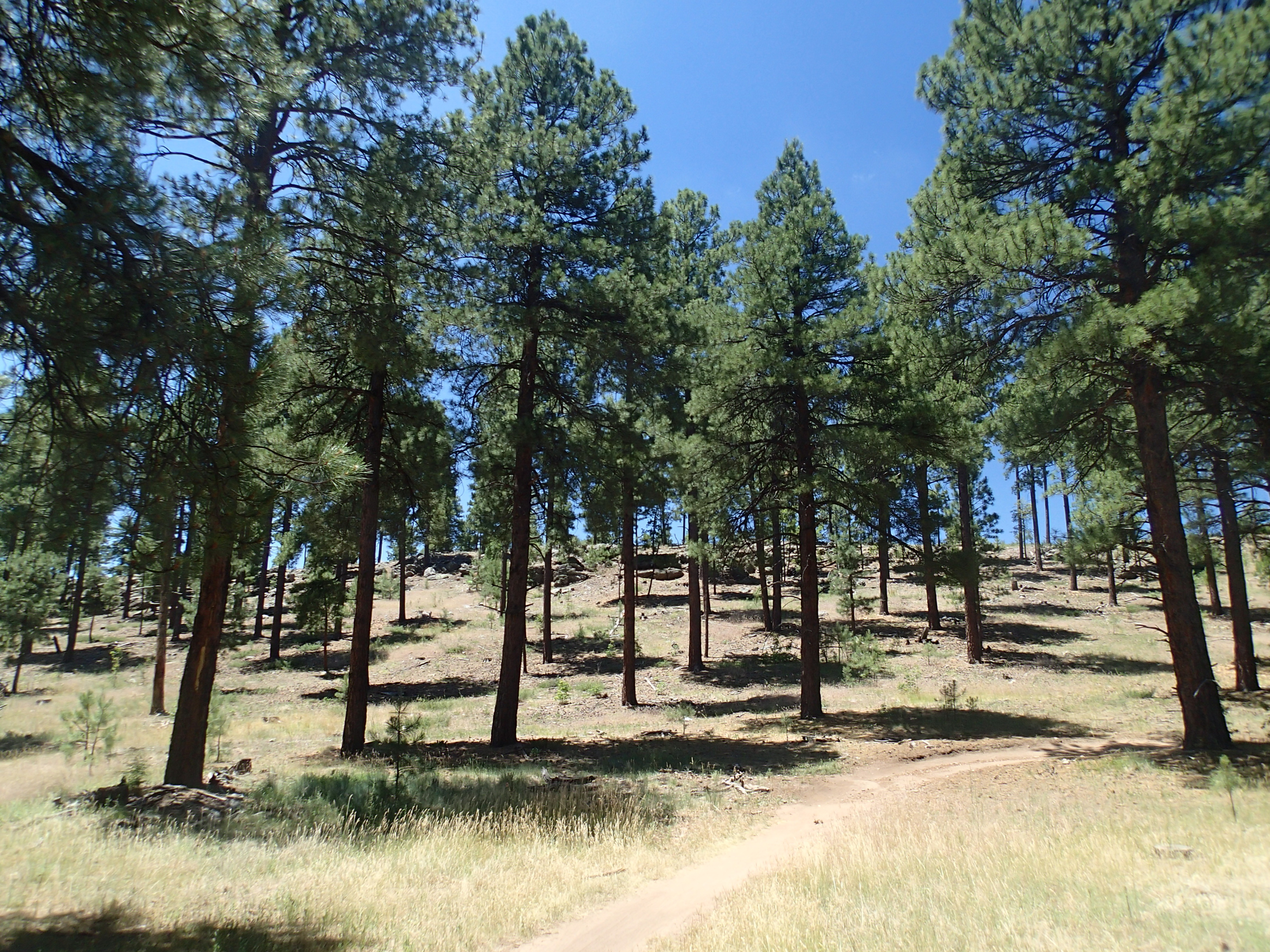 Hike the Soldier's Trail