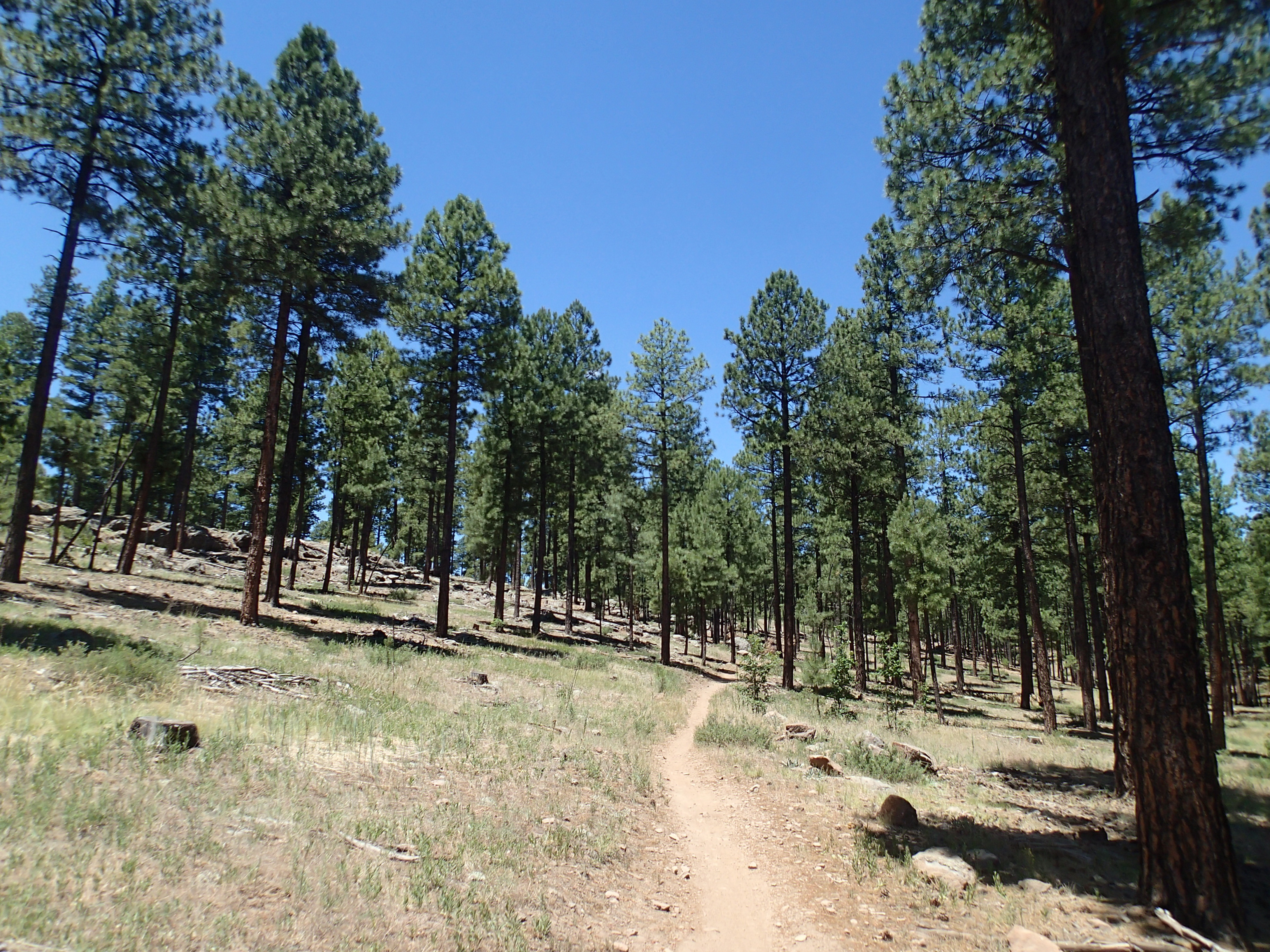 Hike the Soldier's Trail, Flagstaff, Arizona