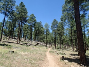 Hike the Soldier's Trail