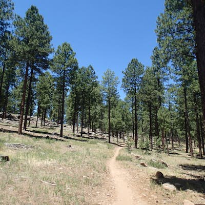 Hike the Soldier's Trail