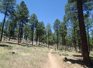 Hike the Soldier's Trail