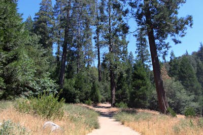 Hike the Heart Rock Trail