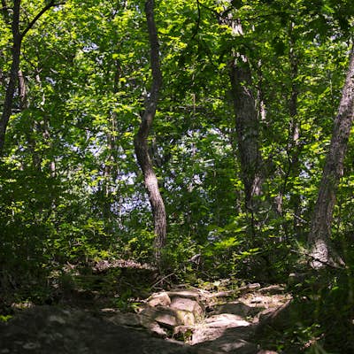 Hike to Hazel Falls in Shenandoah National Park