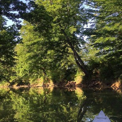 Paddle Kinniconick Creek