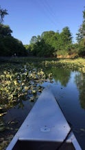 Paddle Kinniconick Creek