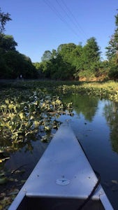Paddle Kinniconick Creek