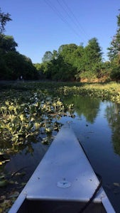 Paddle Kinniconick Creek