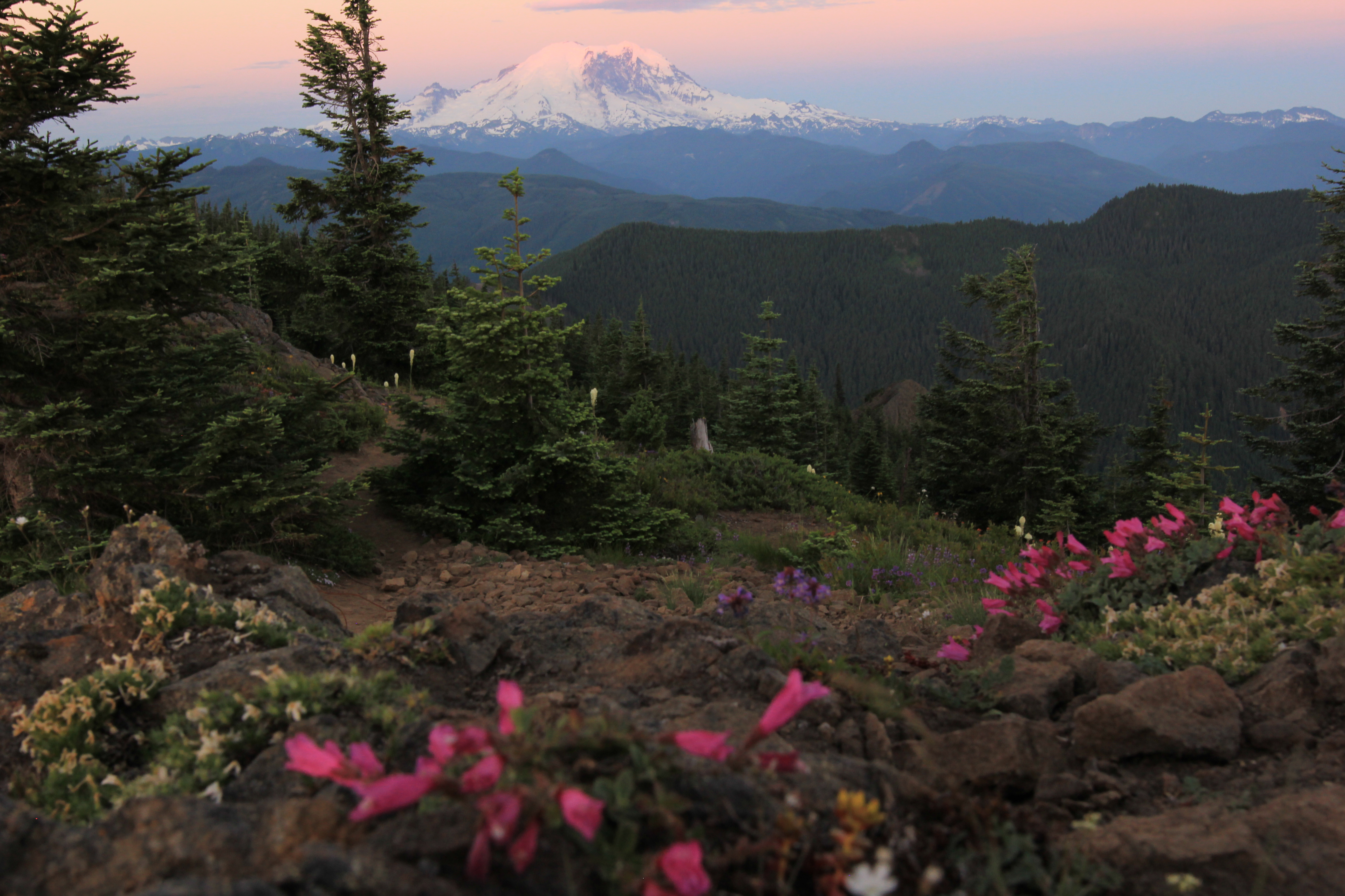 Kelly Butte