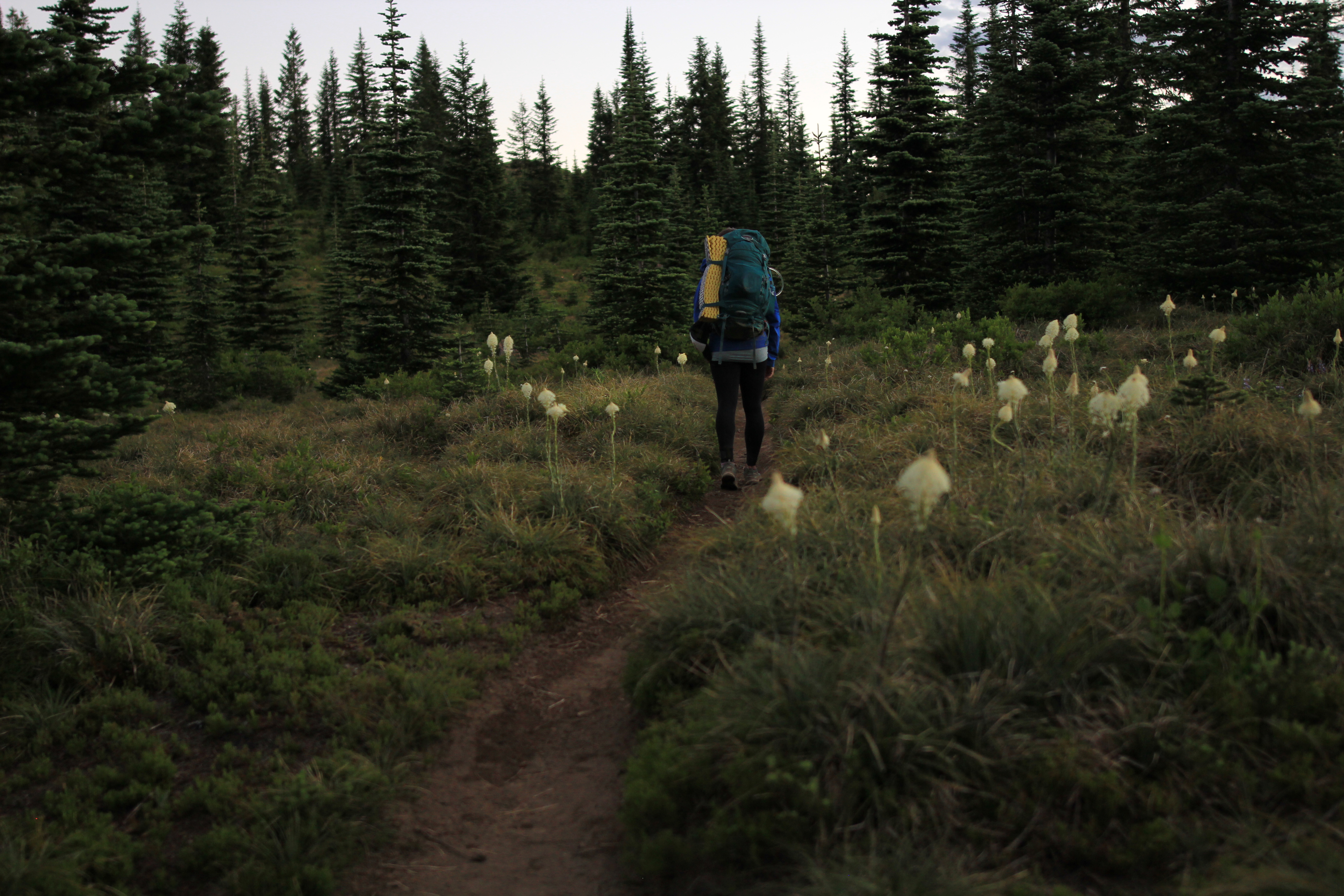Kelly Butte