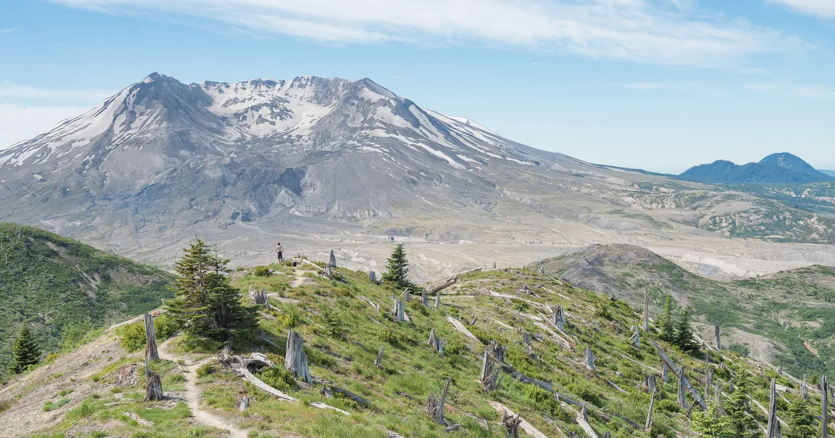 How Much Does It Cost To Visit Johnston Ridge? – EIYUB
