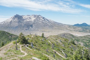 Hike to the Summit of Coldwater Peak