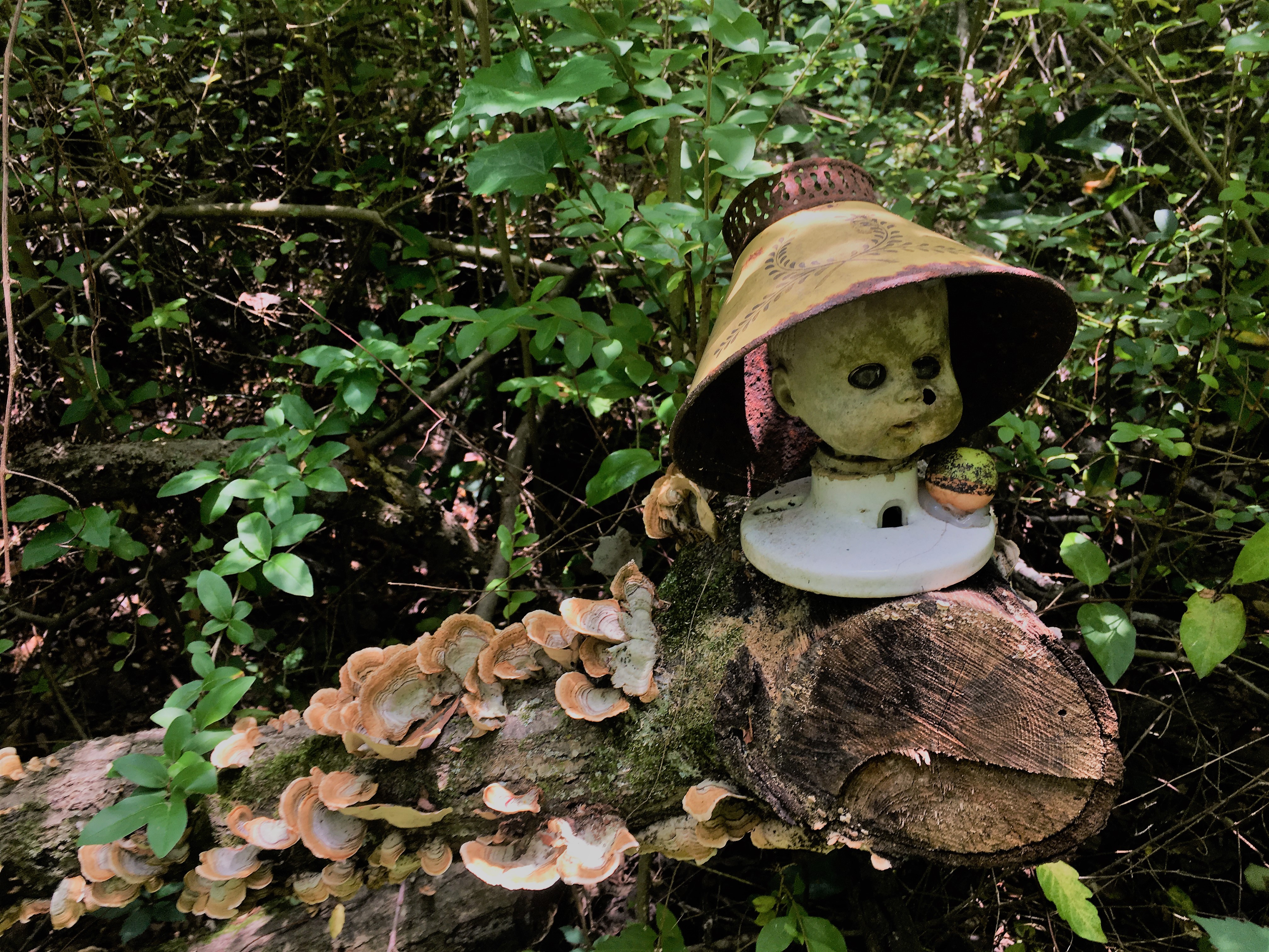 Doll's Head Loop