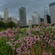 Explore Chicago's Luire Garden