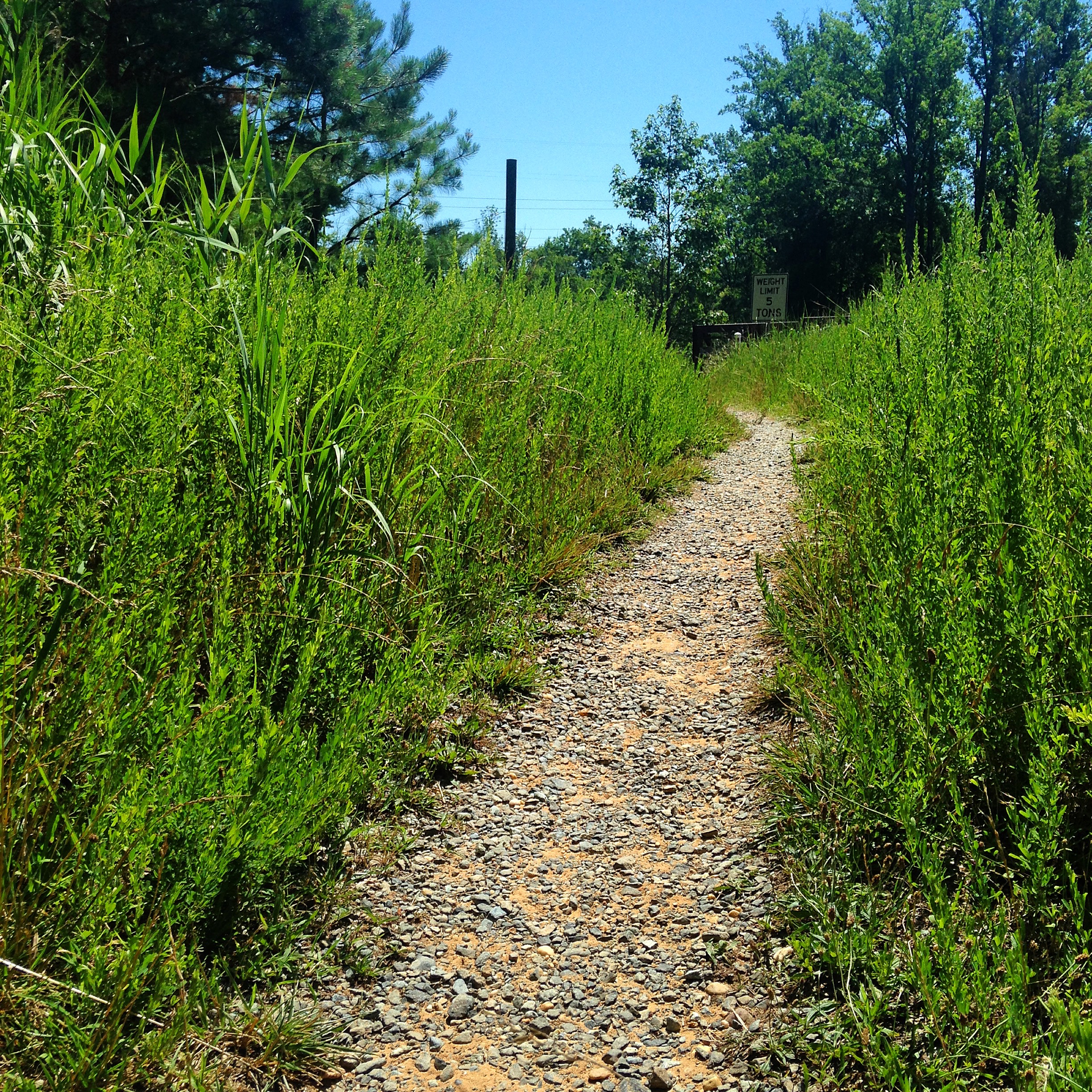 Hike the South Tract Trails at Patuxent Research Refuge 