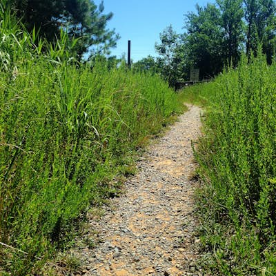 Hike the South Tract Trails at Patuxent Research Refuge 