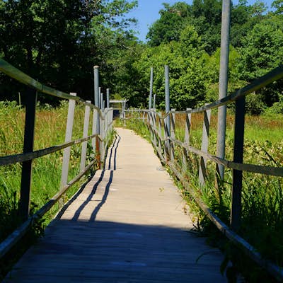 Hike the South Tract Trails at Patuxent Research Refuge 