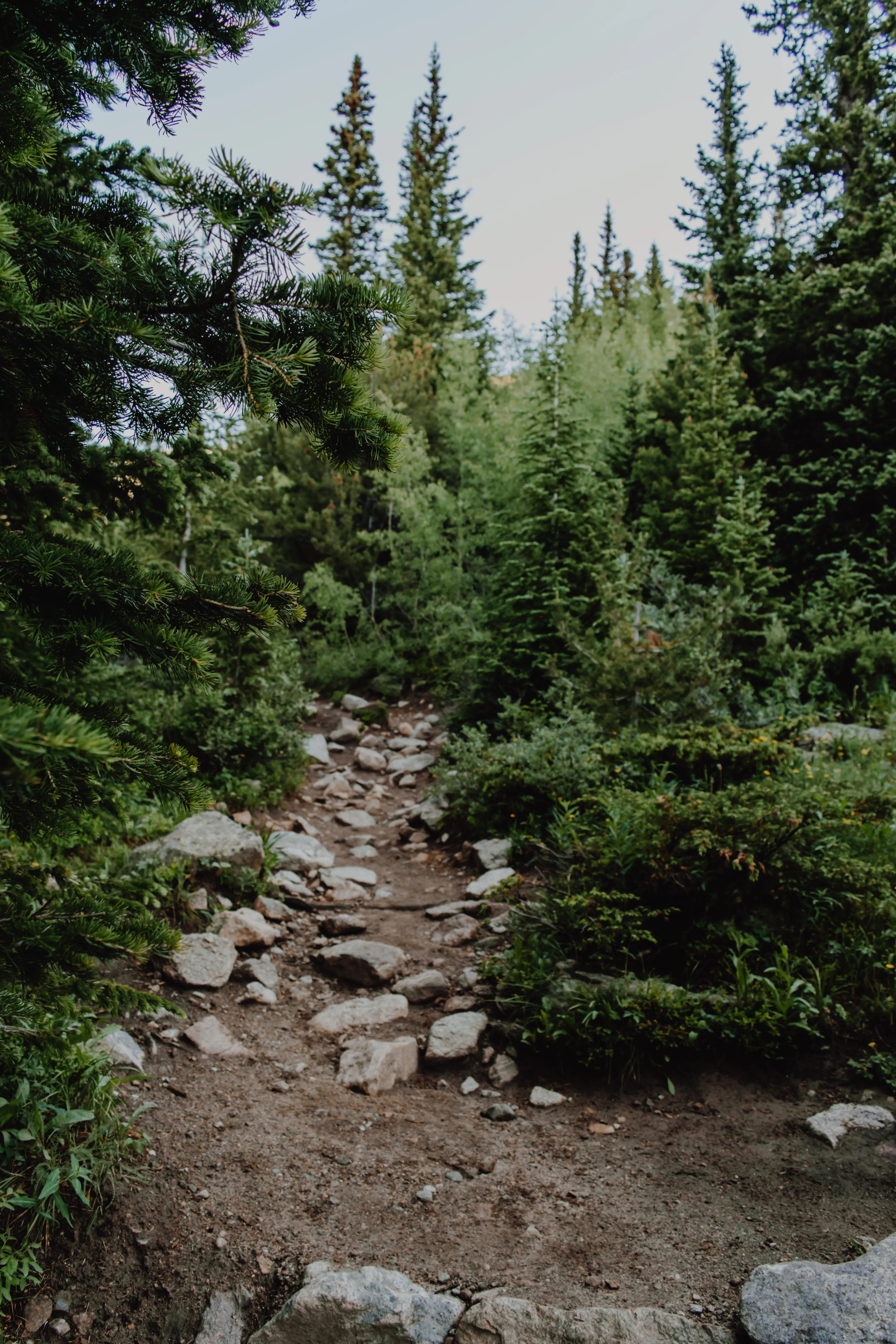 Hike to Diamond Lake in the Indian Peaks Wilderness