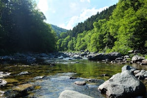 Hike Upper Salmon River 