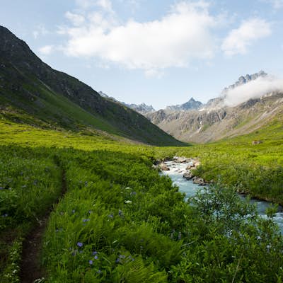 Hike to Alaska's Mint Hut