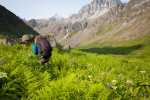 Hike to Alaska's Mint Hut