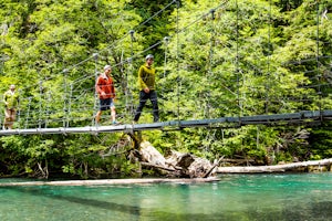 Hike the Grove of the Patriarchs