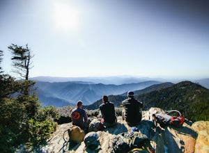20 Must-Do Hikes in Great Smoky Mountains National Park