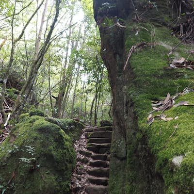 Hike the Fairy Bower/Cox's Cave Loop