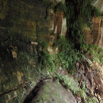 Hike the Fairy Bower/Cox's Cave Loop