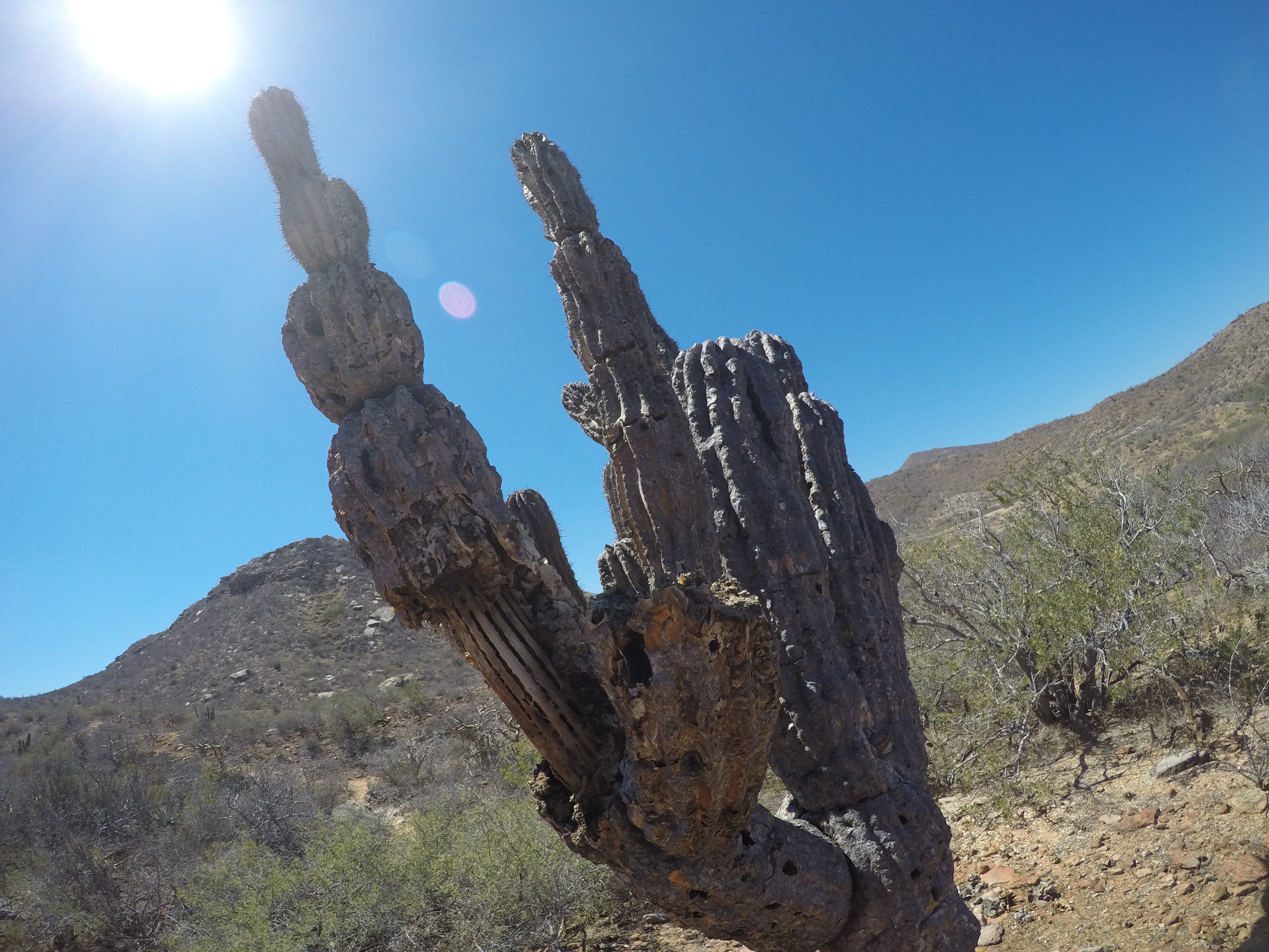 Hike to Table Top Mountain