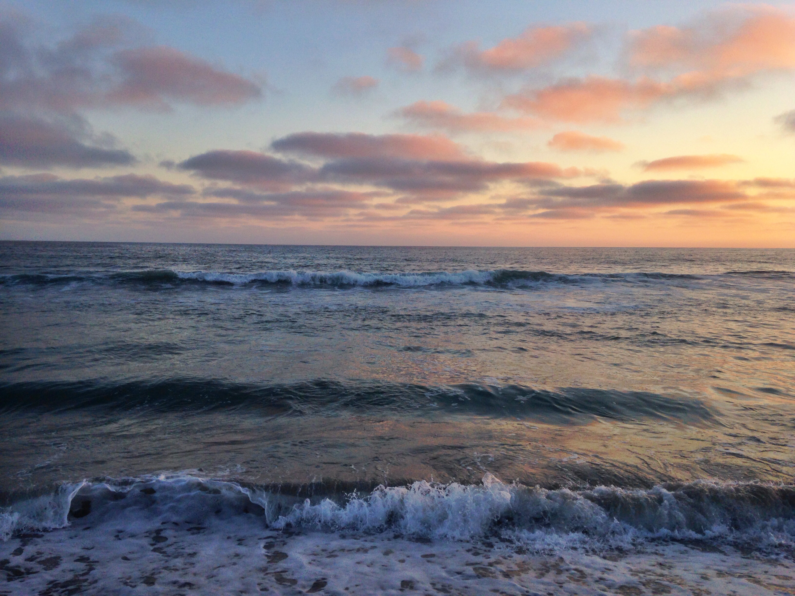 Surf Fish at Oceanside Pier