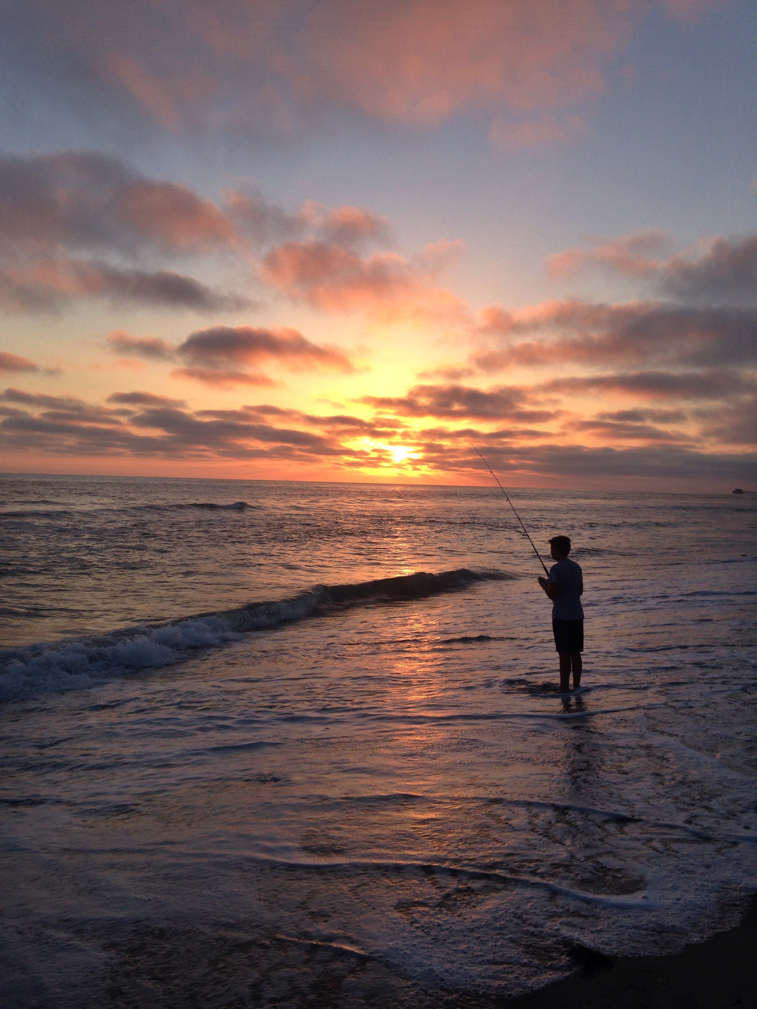 Surf Fish at Oceanside Pier