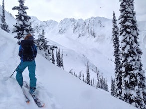 Backcountry Ski in Rogers Pass