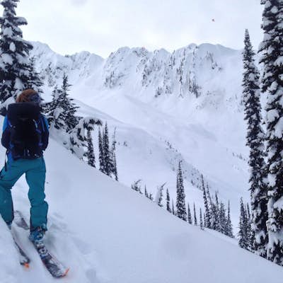 Backcountry Ski in Rogers Pass