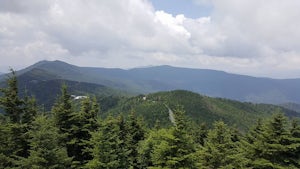 Summit Mount Mitchell via the Old Mitchell Trail 