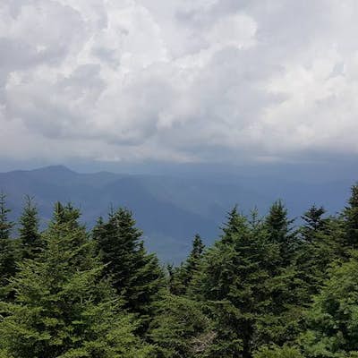Mount Mitchell via the Old Mitchell Trail 