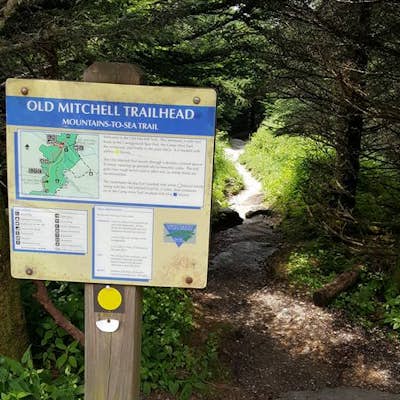 Mount Mitchell via the Old Mitchell Trail 