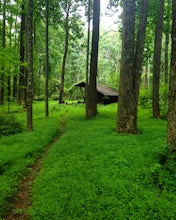 Camp at the Adirondack Shelters in Catoctin Mountain Park