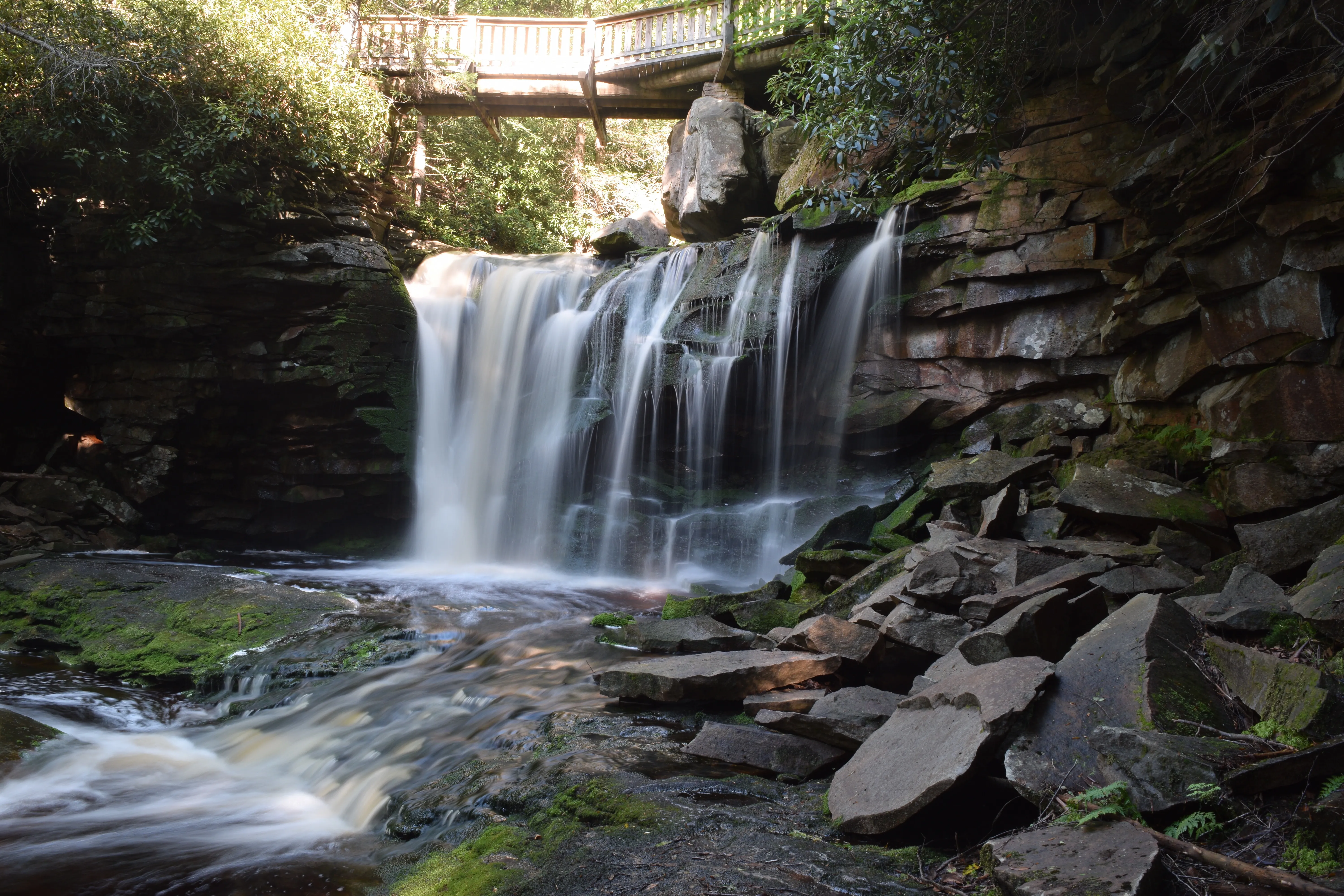 Explore Elakala Falls