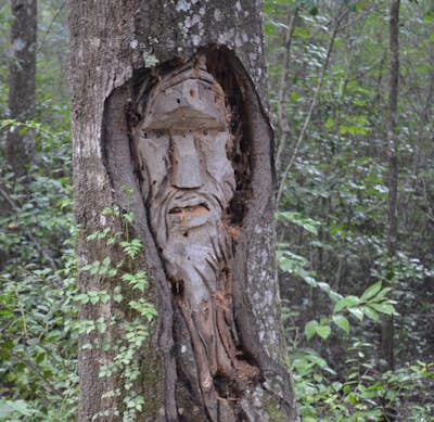 Find the Tree Spirits of Liberty County