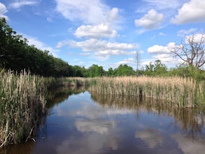 Hike the Aspen Parklands Trail at Lake Bronson State Park 