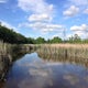 Hike the Aspen Parklands Trail at Lake Bronson State Park 