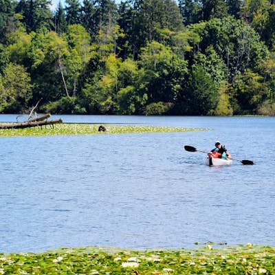 Kayak Lake Ballinger
